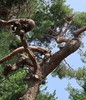 세계시장의 주역 한국 1 -  우리 경제계에서 세계적인 거장이 나오려면 어떻게 해야 하는가?(10)