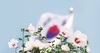 태극기와 무궁화, 그리고 대한민국!