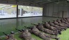 전쟁의 억제와 지속이 가능한 예비전력 재구축