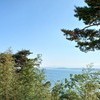 Sung의 법률 여행 ③ 세 번째 이야기- 전세제도는 필요악인가