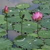 세계시장의 주역 한국 1 - 기업 가치사슬과 사업사슬의 혁신이 필요하다(4).