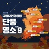 10월엔 단풍 구경, 국립 자연 휴양림에서 즐기세요!